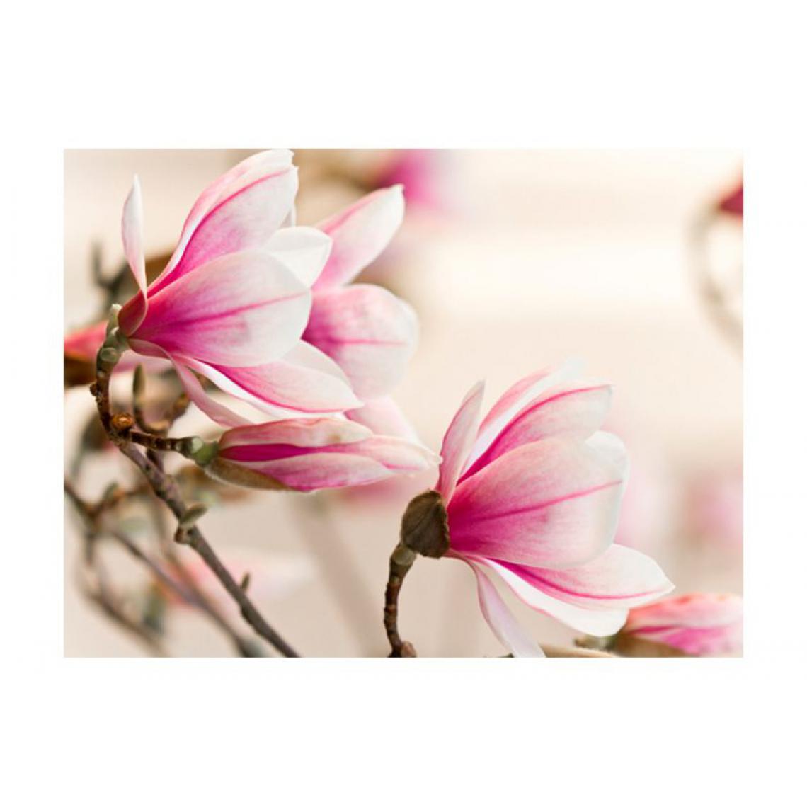 Artgeist - Papier peint - Branch of magnolia tree .Taille : 200x154 - Papier peint
