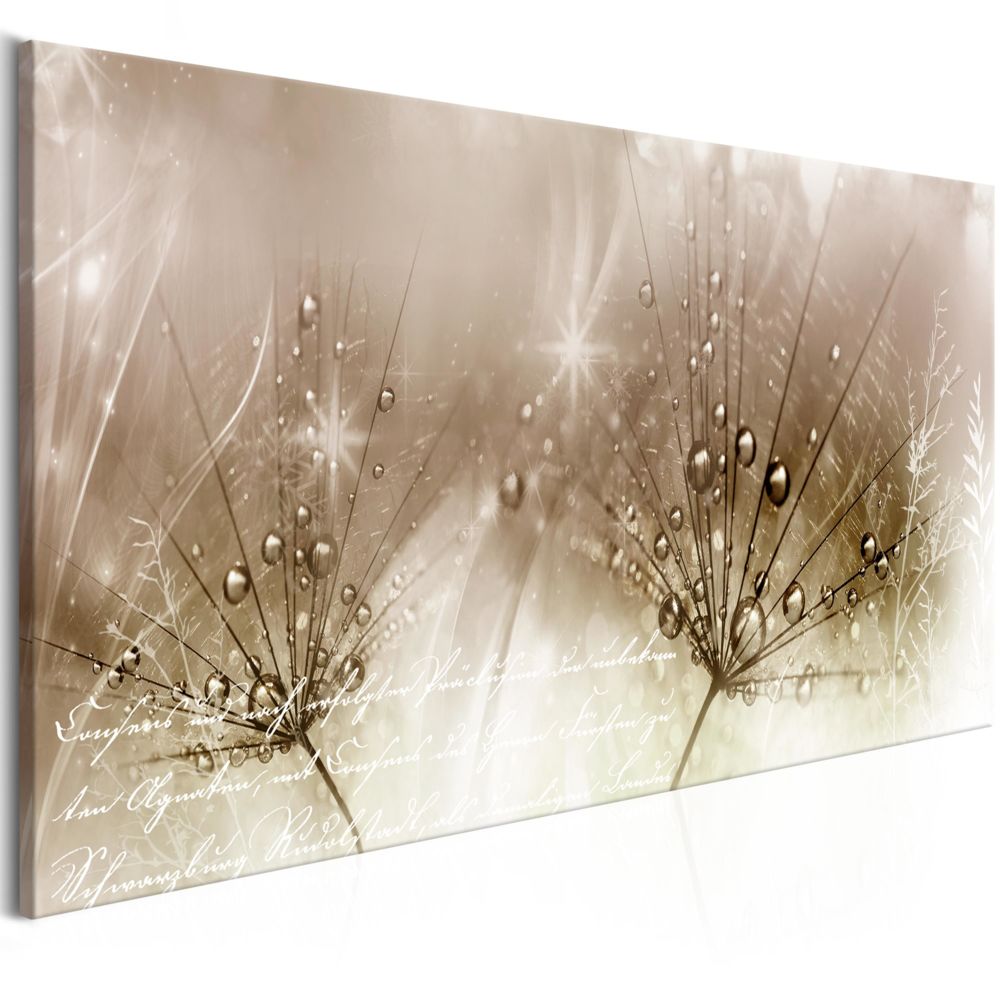 Bimago - Tableau - Drops of Dew (1 Part) Brown Wide - Décoration, image, art | Fleurs variées | 100x45 cm | - Tableaux, peintures