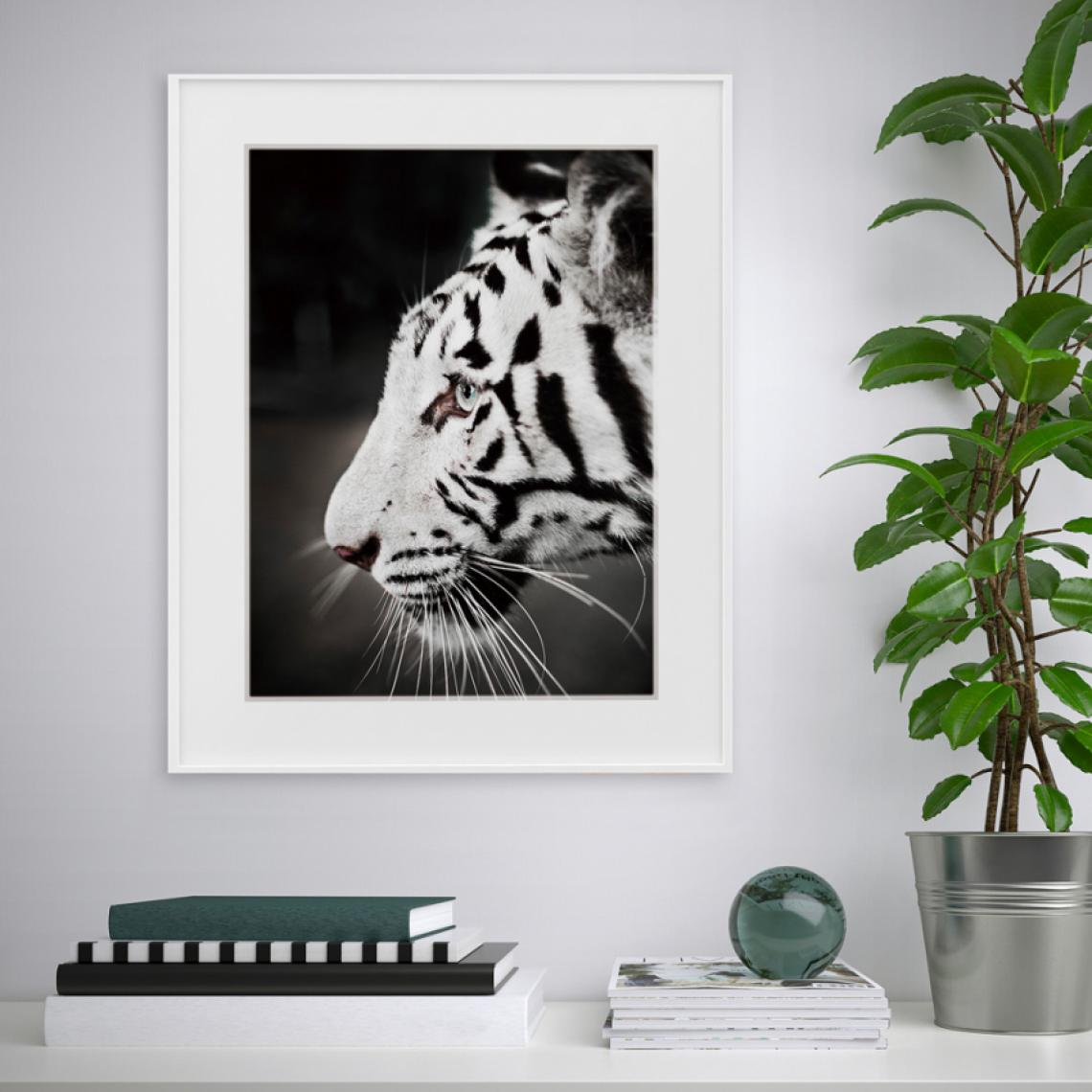 Tema - Tableau photographie noir et blanc tigre animaux 40x50cm Variety Harimau - Tableaux, peintures