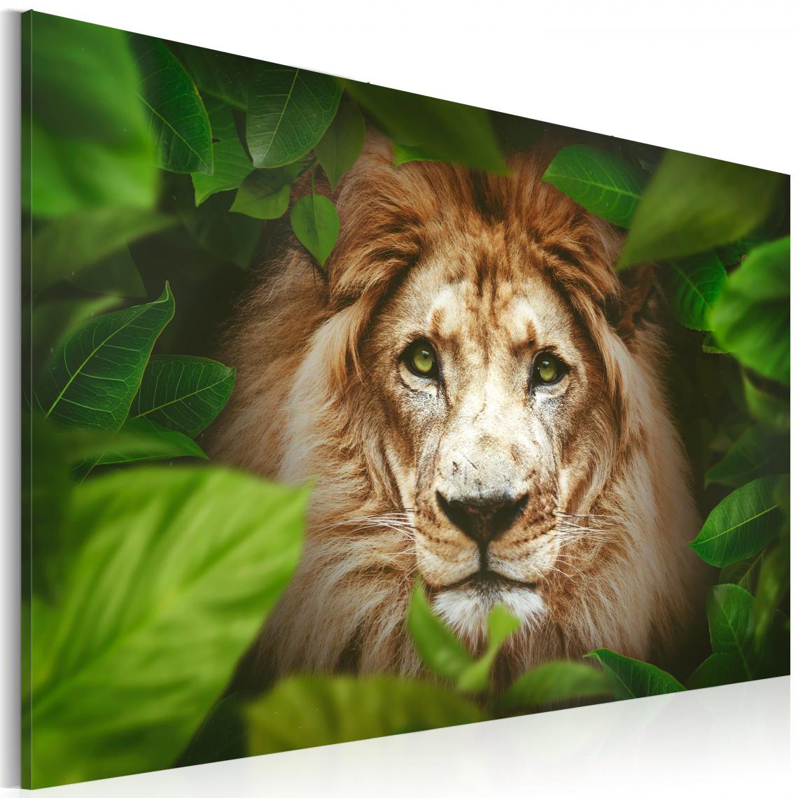 Decoshop26 - Tableau sur toile décoration murale image imprimée cadre en bois à suspendre Les yeux de la jungle 120x80 cm 11_0002246 - Tableaux, peintures