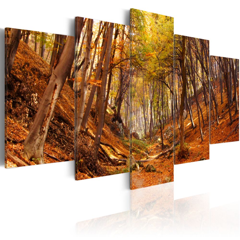 Bimago - Tableau - Automne en orange - Décoration, image, art | Paysages | Forêt | - Tableaux, peintures