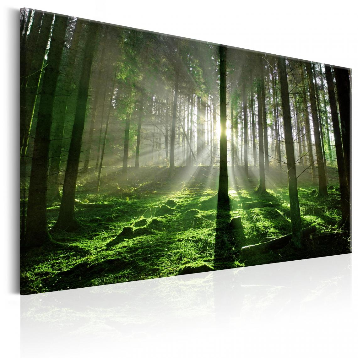 Decoshop26 - Tableau sur toile décoration murale image imprimée cadre en bois à suspendre Forêt d'émeraude II 90x60 cm 11_0006405 - Tableaux, peintures