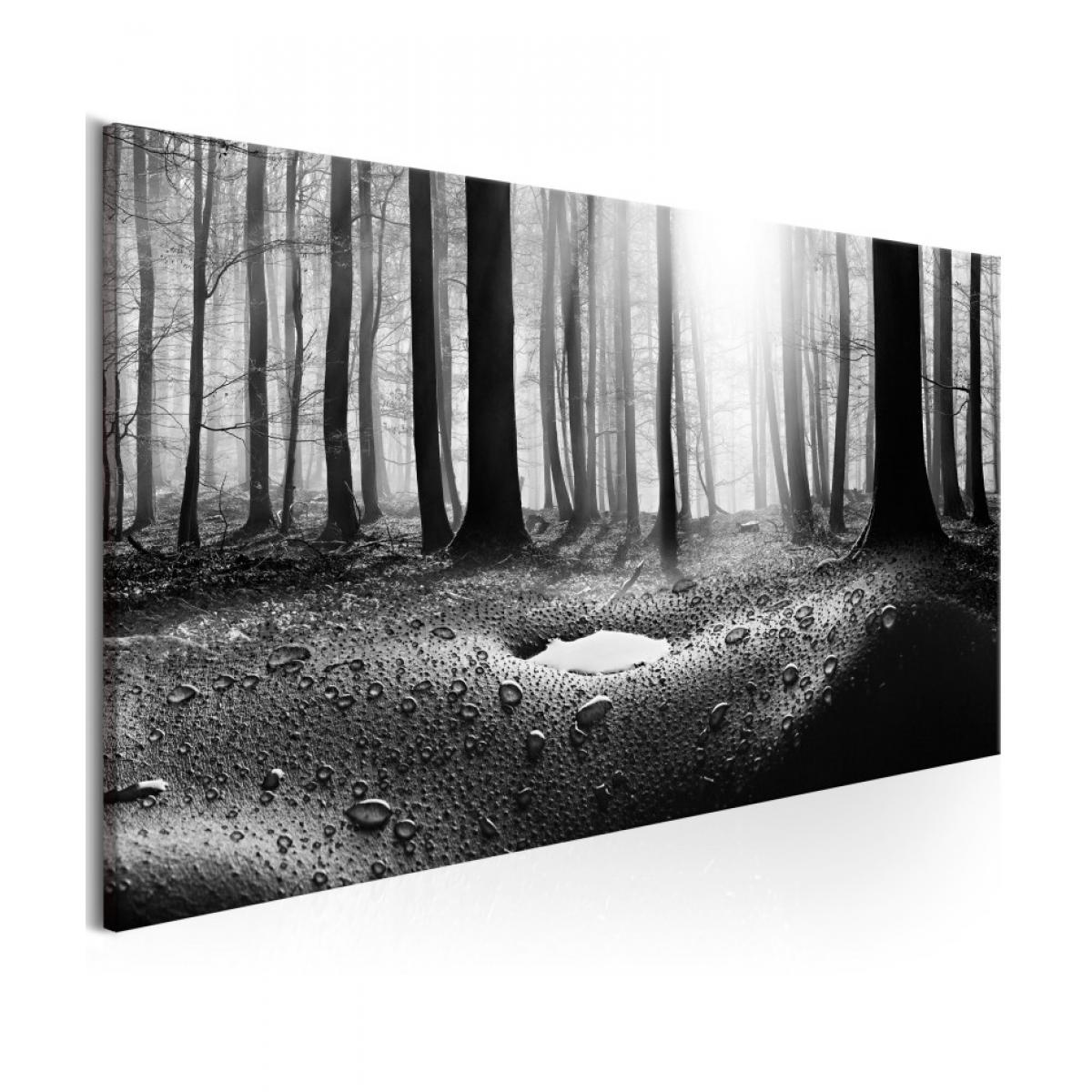Artgeist - Tableau - Forest after Rain (1 Part) Narrow 120x40 - Tableaux, peintures