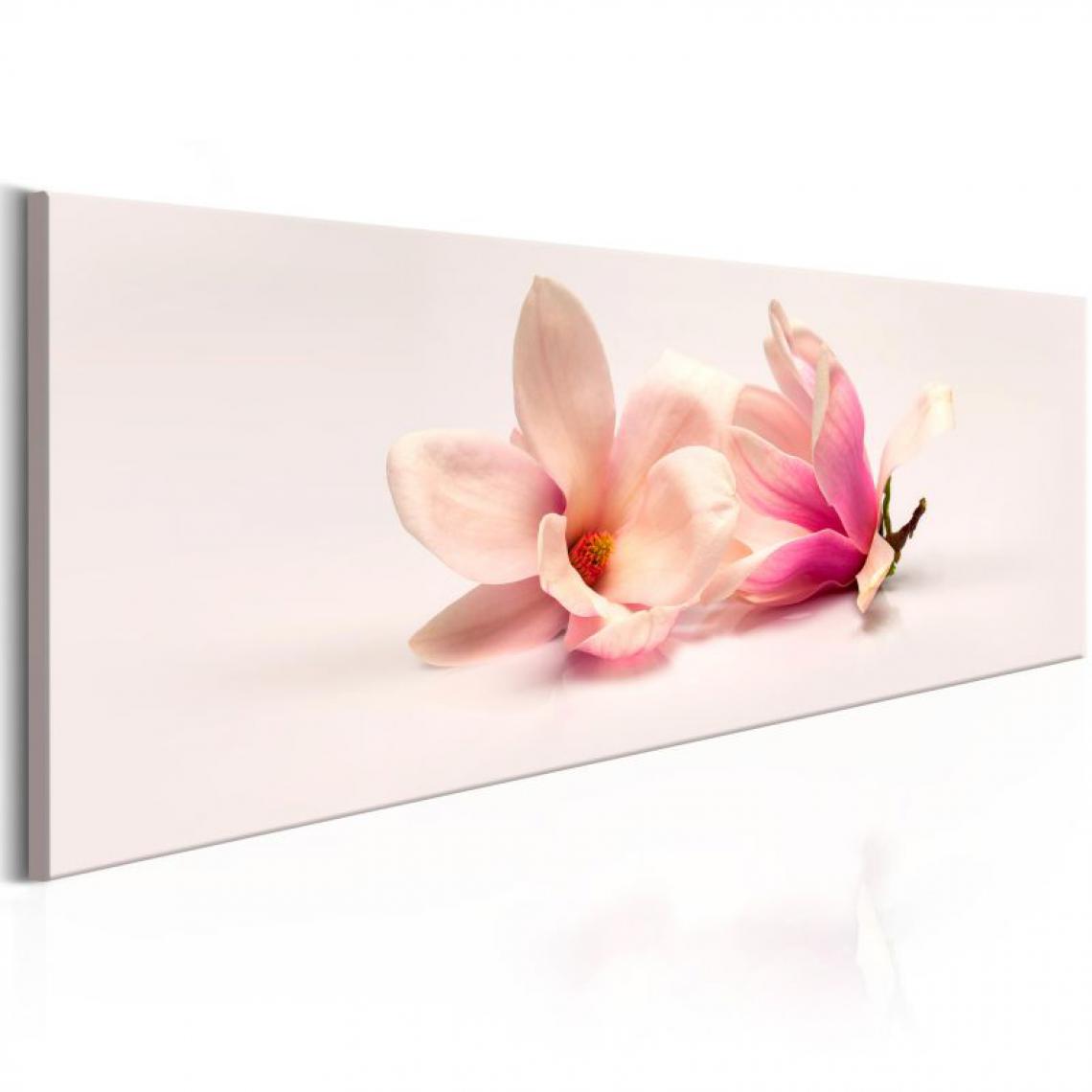 Artgeist - Tableau - Beautiful Magnolias .Taille : 120x40 - Tableaux, peintures