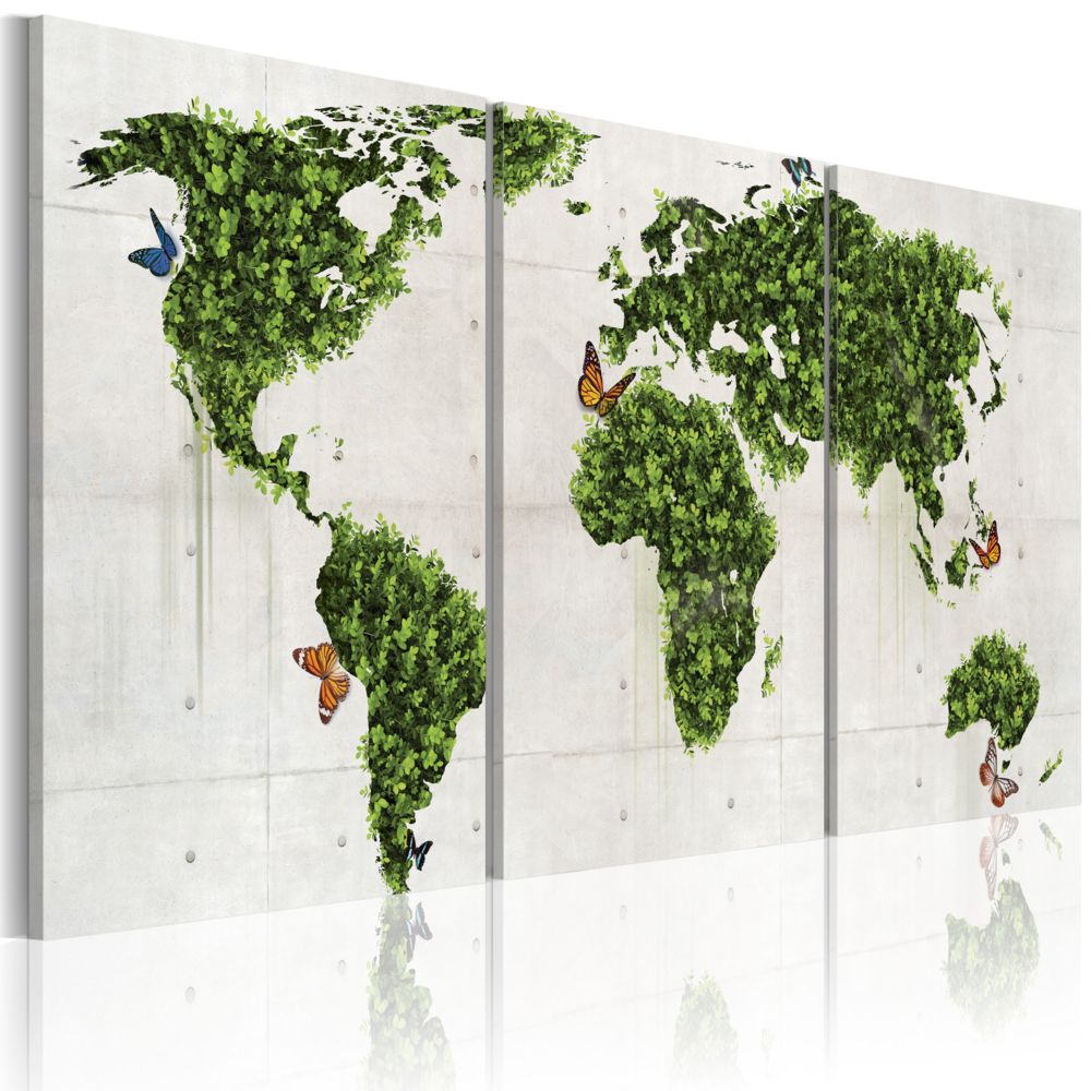 Bimago - Tableau | Terres vertes | 120x60 | Cartes du monde | - Tableaux, peintures