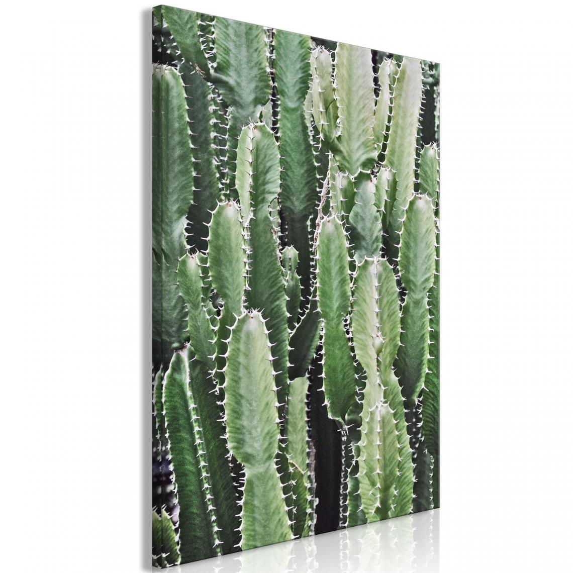 Decoshop26 - Tableau sur toile décoration murale image imprimée cadre en bois à suspendre Jardin de cactus (1 partie) Vertical 60x90 cm 11_0007314 - Tableaux, peintures