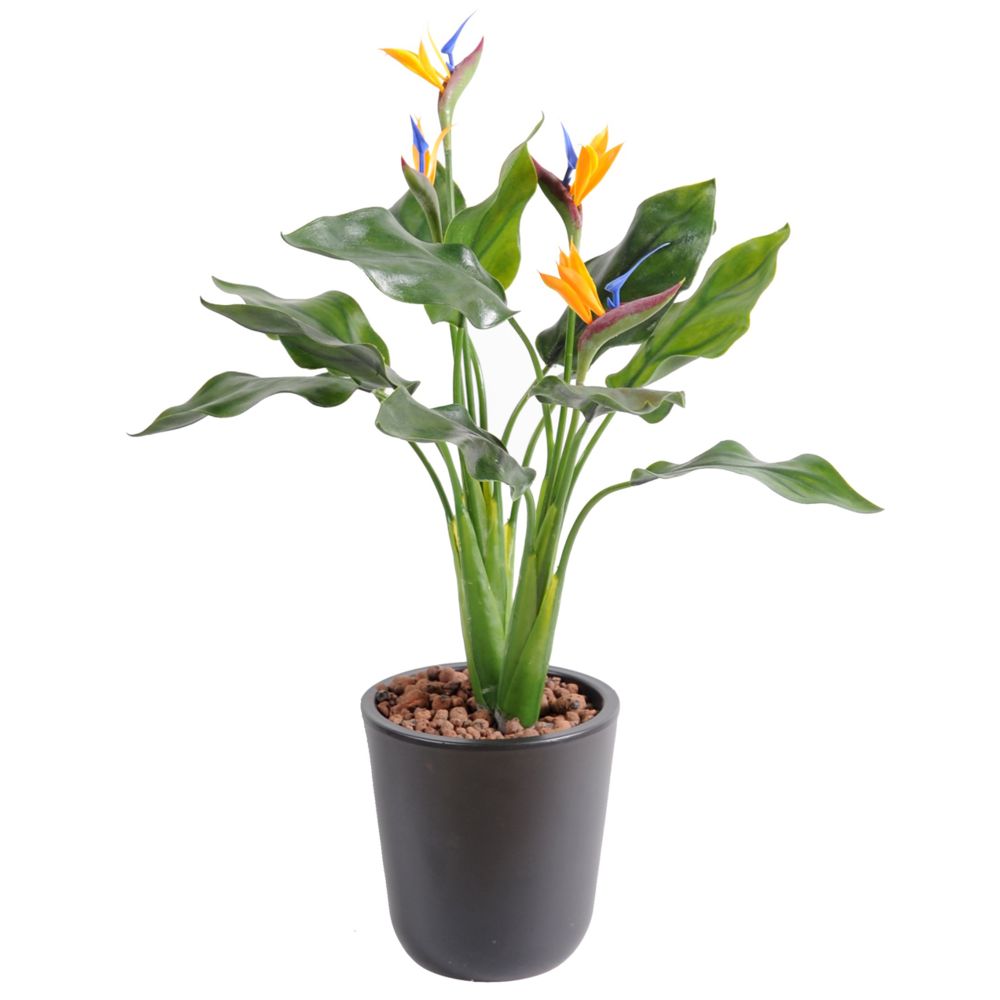 Pegane - 3665437127644 - Plantes et fleurs artificielles
