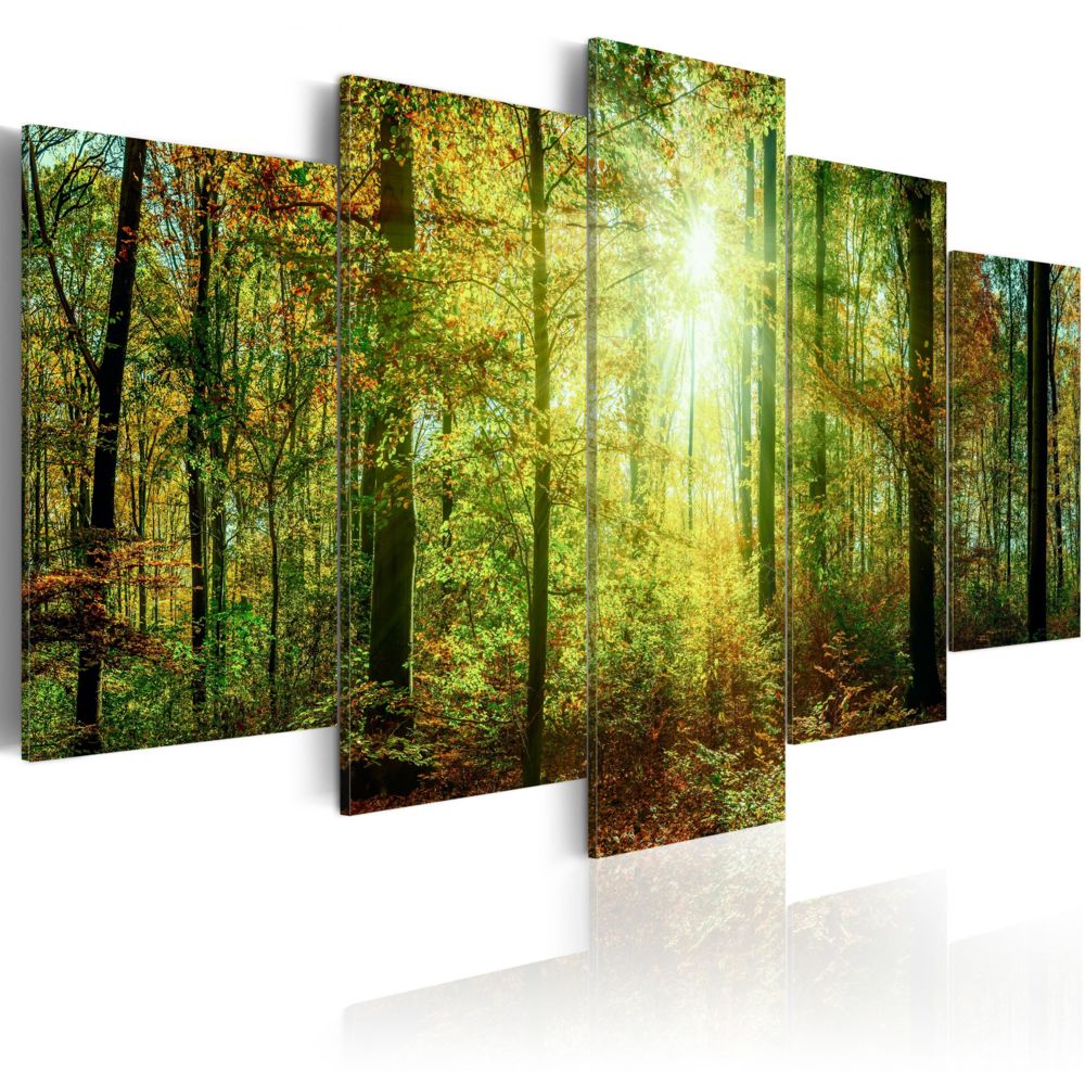 Bimago - Tableau - Wild Forest - Décoration, image, art | Paysages | Forêt | - Tableaux, peintures