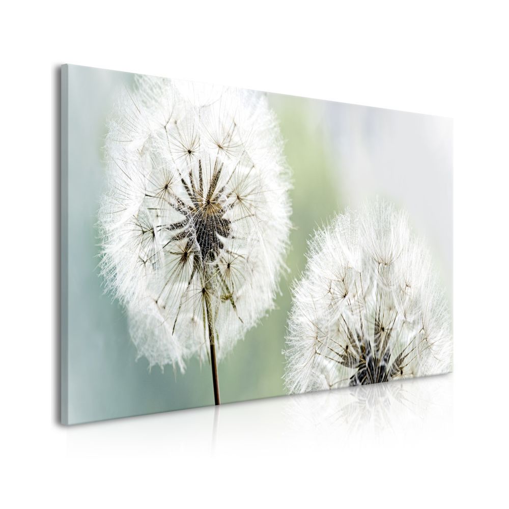 Artgeist - Tableau - Fluffy Dandelions (1 Part) Green Wide 100x45 - Tableaux, peintures