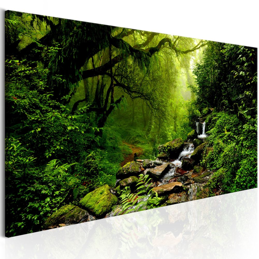 Bimago - Tableau - The Fairytale Forest - Décoration, image, art | Paysages | Forêt | - Tableaux, peintures