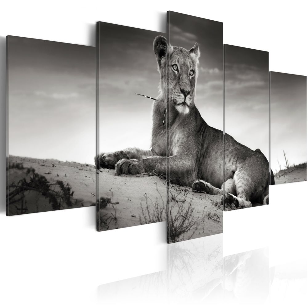 Bimago - Tableau - Tigresse dans le désert - Décoration, image, art | Animaux | Chats | - Tableaux, peintures
