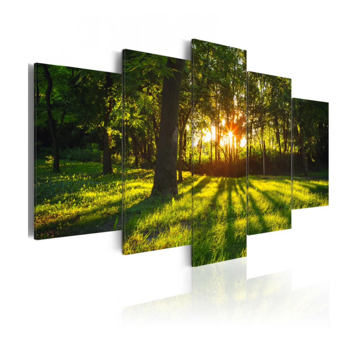 Artgeist - Tableau - The forest reflection 100x50 - Tableaux, peintures