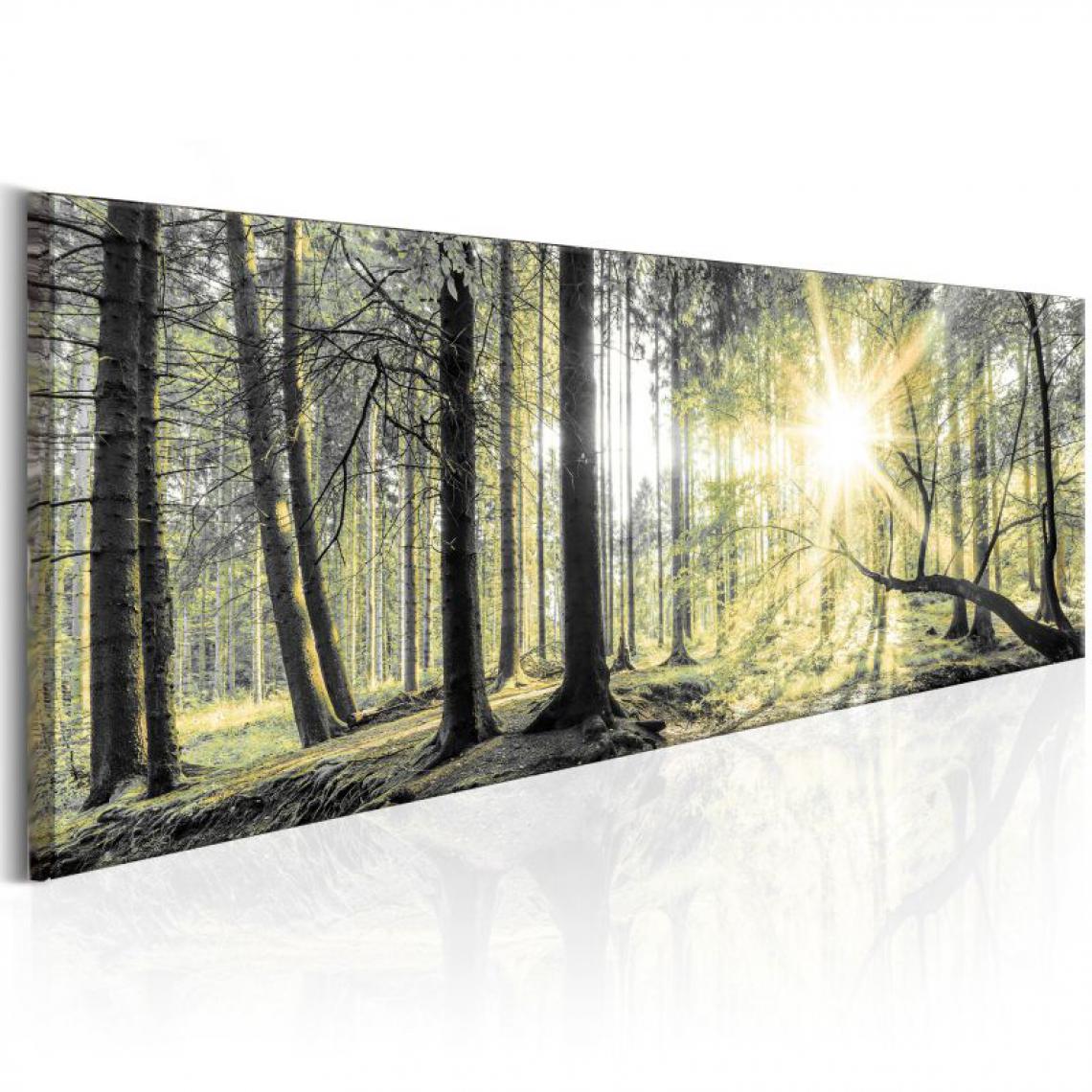 Artgeist - Tableau - Morning Forest .Taille : 150x50 - Tableaux, peintures