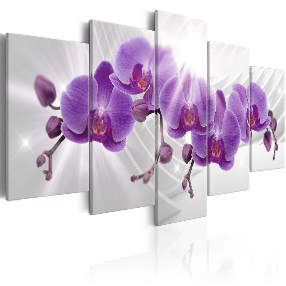 Bimago - Tableau - Abstract Garden: Purple Orchis - Décoration, image, art | Fleurs | Orchidées | - Tableaux, peintures