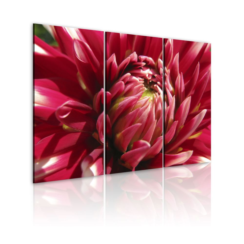 Bimago - Tableau | Jardin fleurissant | 60x40 | Fleurs | Fleurs variées | dahlia | - Tableaux, peintures