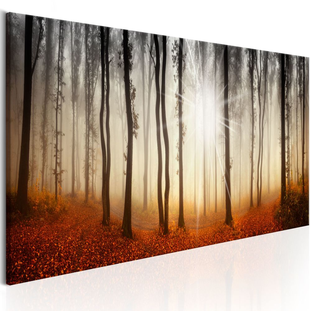 Bimago - Tableau - Autumnal Fog - Décoration, image, art | Paysages | Forêt | - Tableaux, peintures