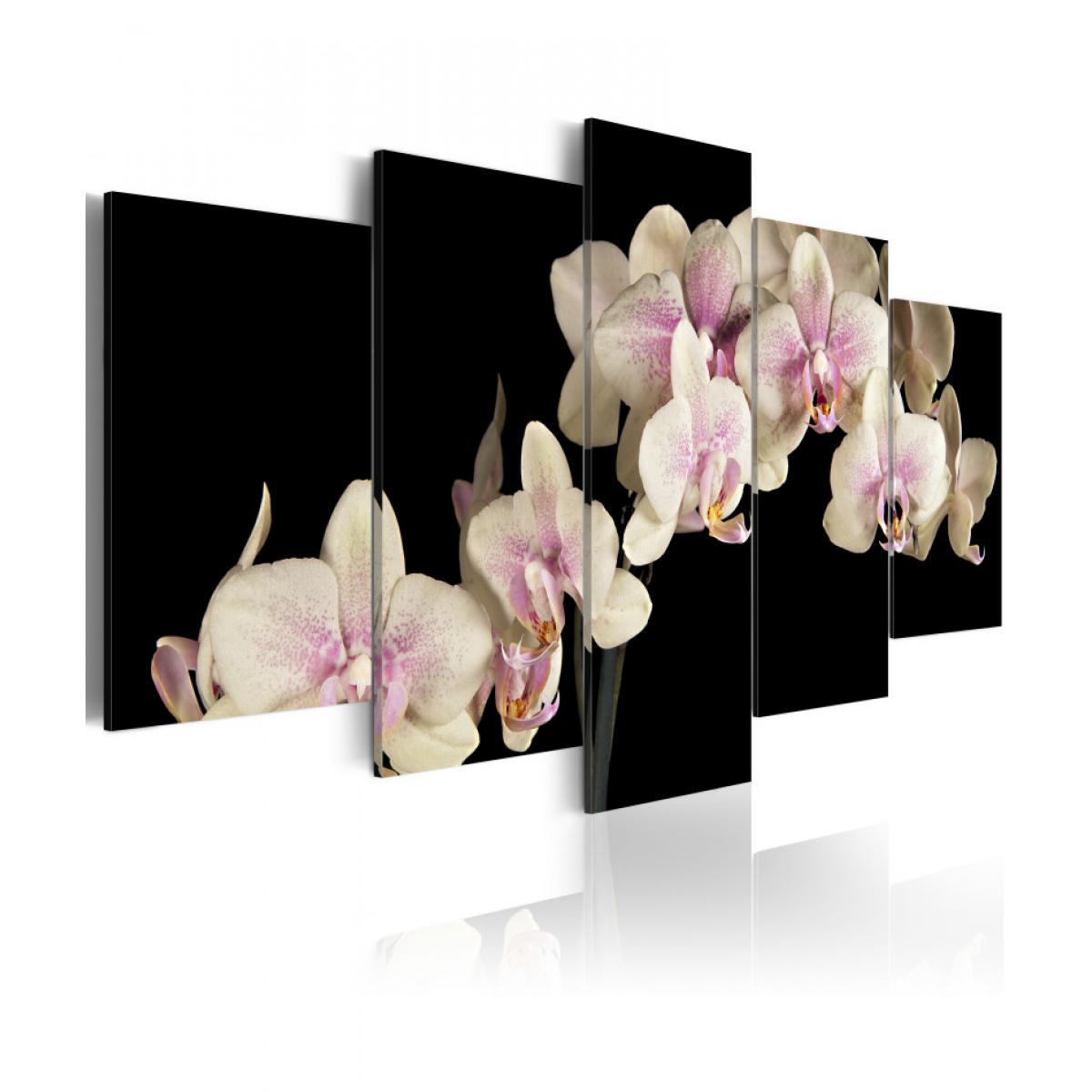 Artgeist - Tableau - Orchidée sur fond contrasté 200x100 - Tableaux, peintures