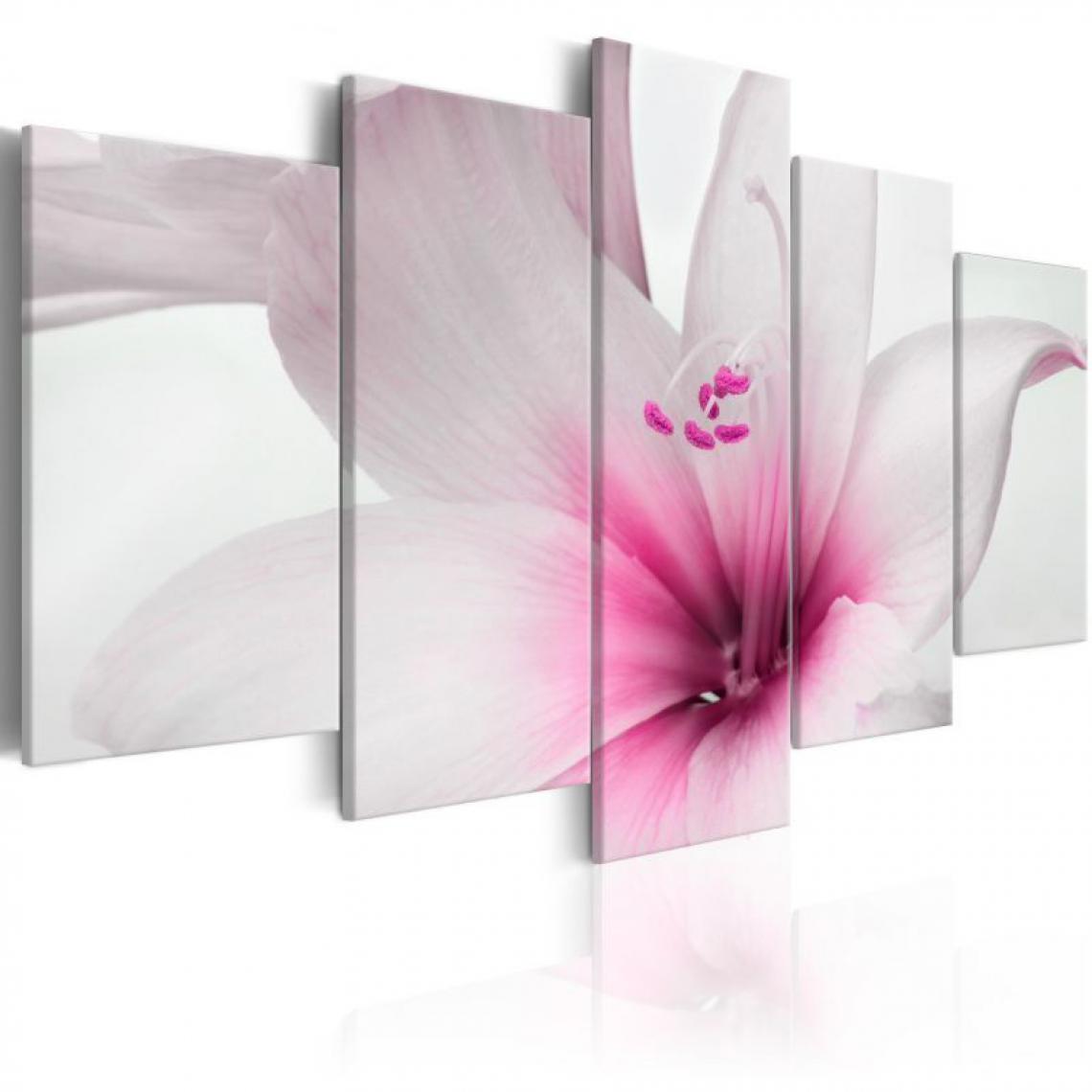 Artgeist - Tableau - Amarylis: Pink Charm .Taille : 100x50 - Tableaux, peintures