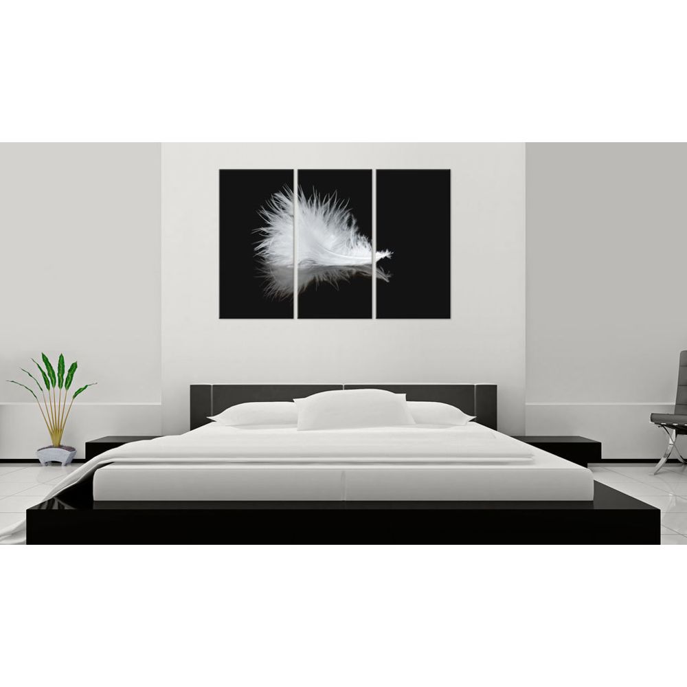 marque generique - 120x80 Tableau Noirs et blancs Abstraction Admirable Petite plume - Tableaux, peintures