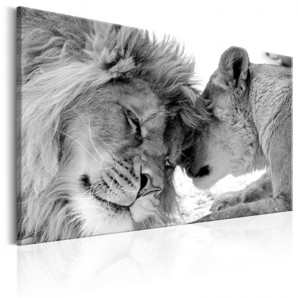 Decoshop26 - Tableau sur toile décoration murale image imprimée cadre en bois à suspendre L'amour du lion 60x40 cm 11_0002772 - Tableaux, peintures