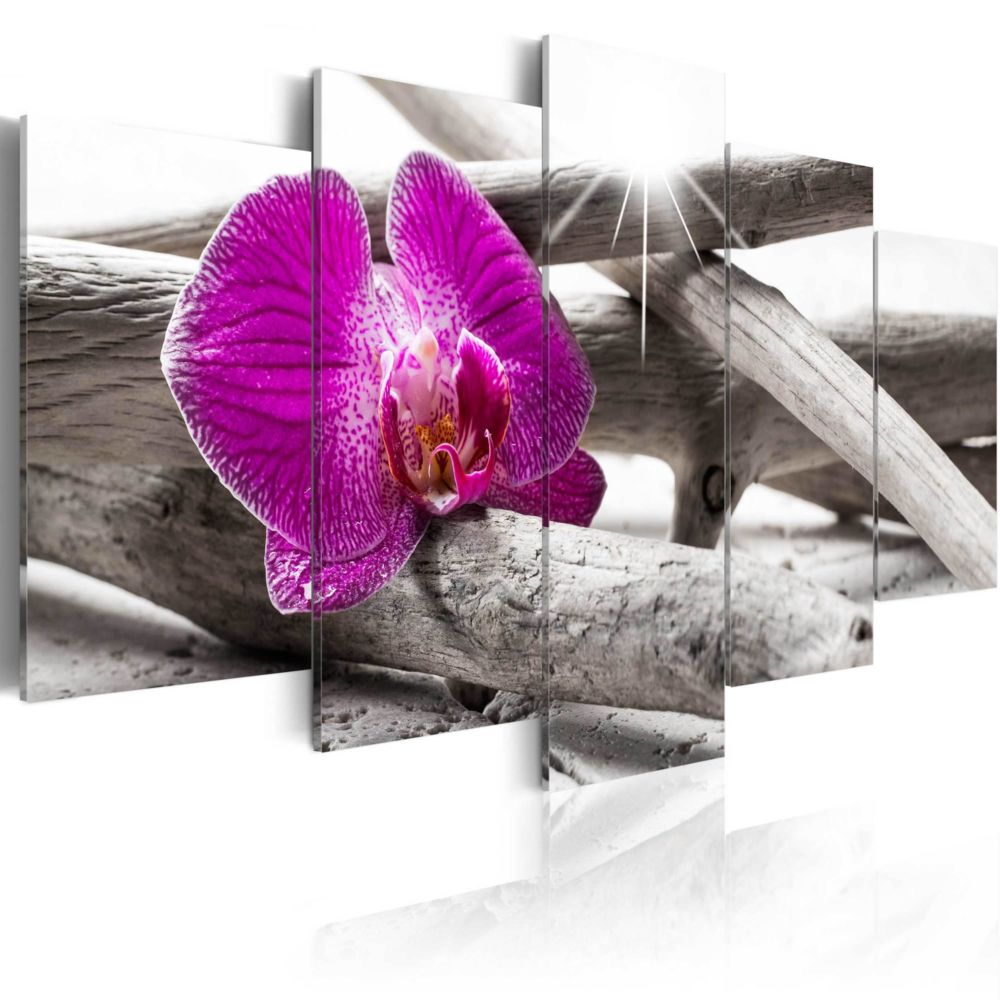 Artgeist - Tableau - Orchid on beach 100x50 - Tableaux, peintures