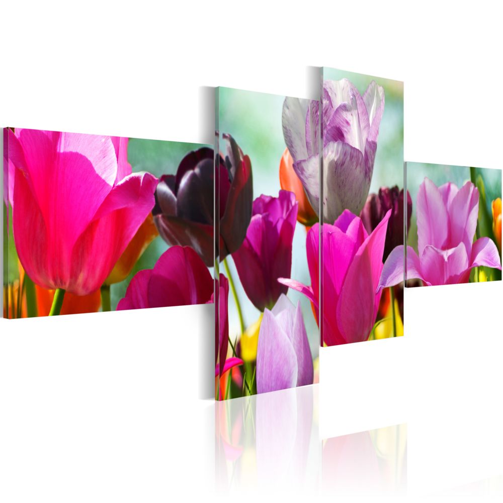 Bimago - Tableau - Charme des coquelicots roses - Décoration, image, art | Fleurs | Tulipes | - Tableaux, peintures