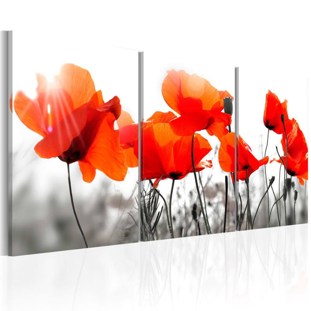 Bimago - Tableau - Charming Poppies - Décoration, image, art | Fleurs | Coquelicots | - Tableaux, peintures