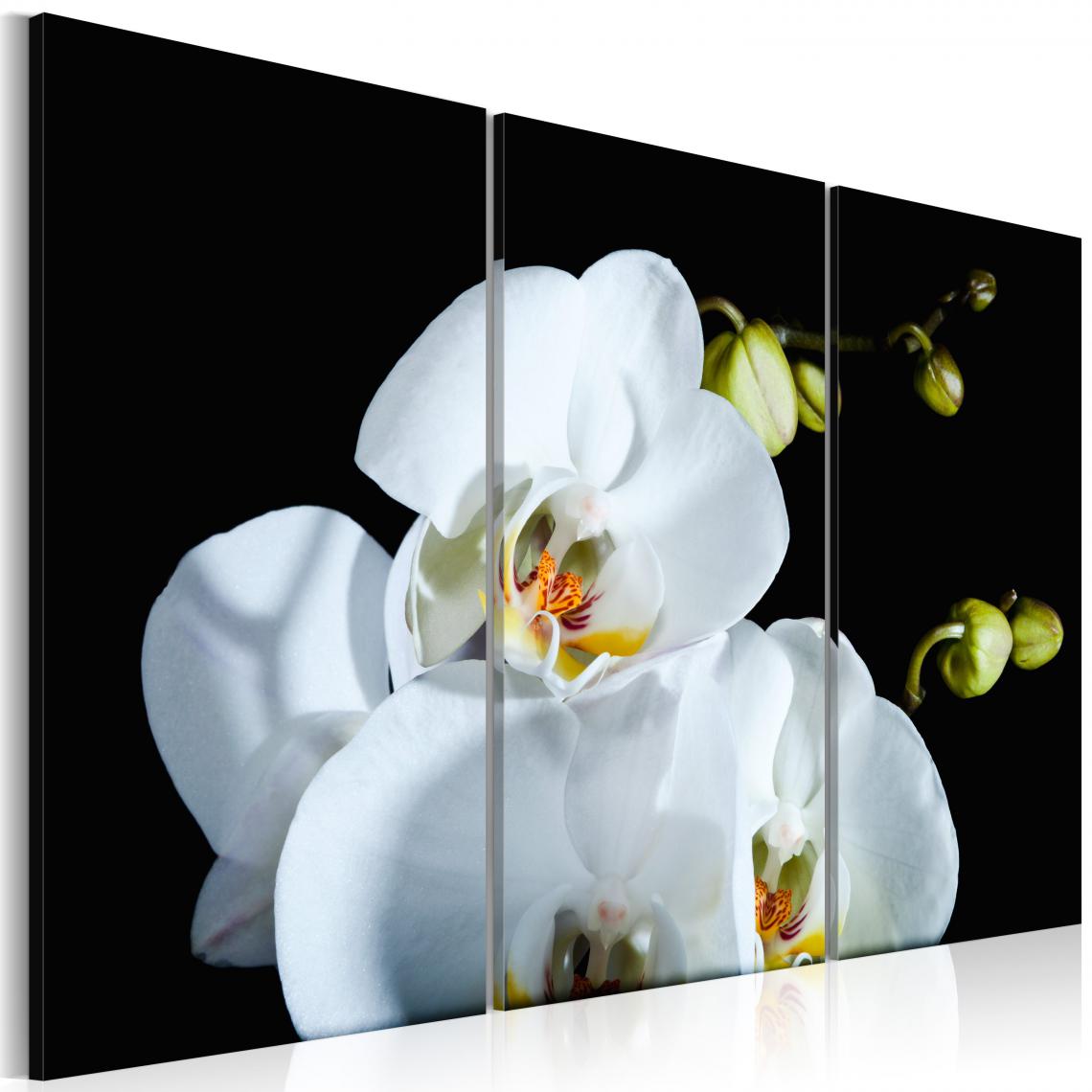 Decoshop26 - Tableau sur toile en 3 panneaux décoration murale image imprimée cadre en bois à suspendre Orchidée blanche comme neige 60x40 cm 11_0005528 - Tableaux, peintures