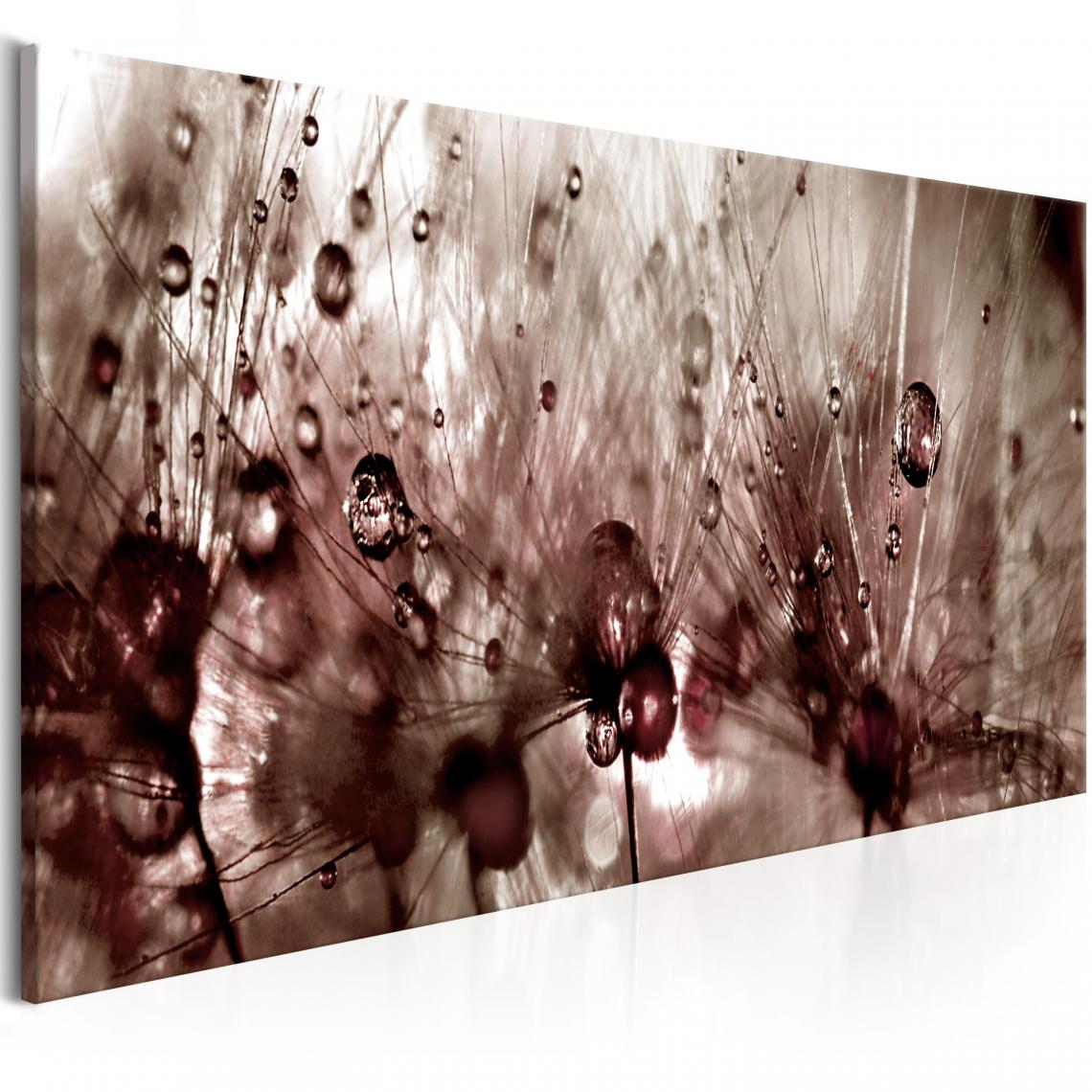 Decoshop26 - Tableau sur toile décoration murale image imprimée cadre en bois à suspendre Pissenlits après la pluie 150x50 cm 11_0005142 - Tableaux, peintures