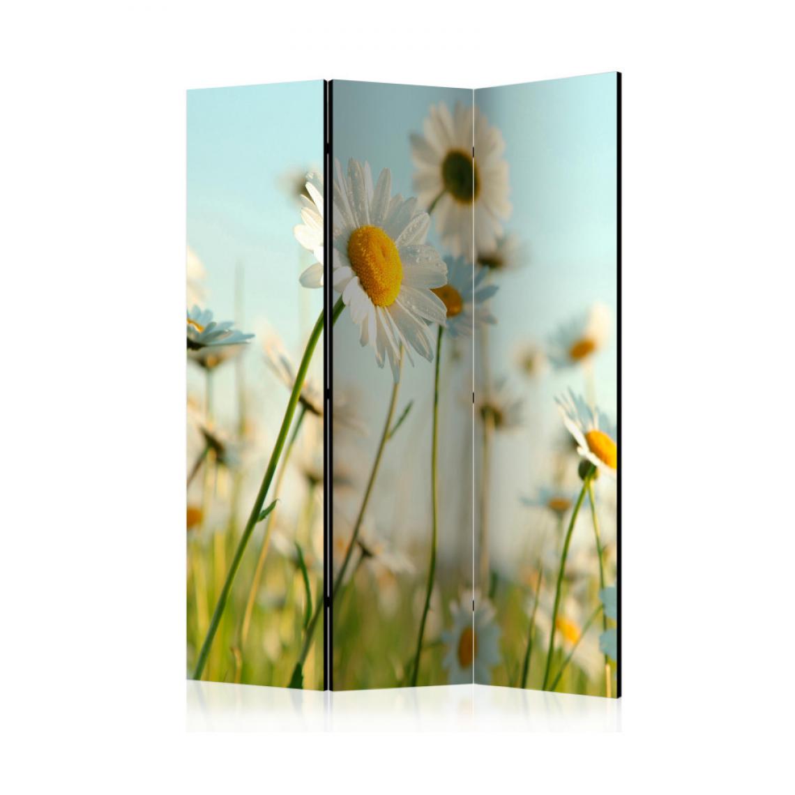 Artgeist - Paravent 3 volets - Daisies - spring meadow [Room Dividers] 135x172 - Paravents