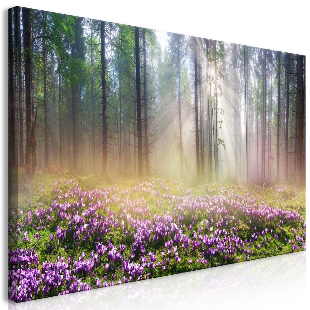Bimago - Tableau - Purple Meadow (1 Part) Wide - Décoration, image, art | Paysages | Forêt | - Tableaux, peintures
