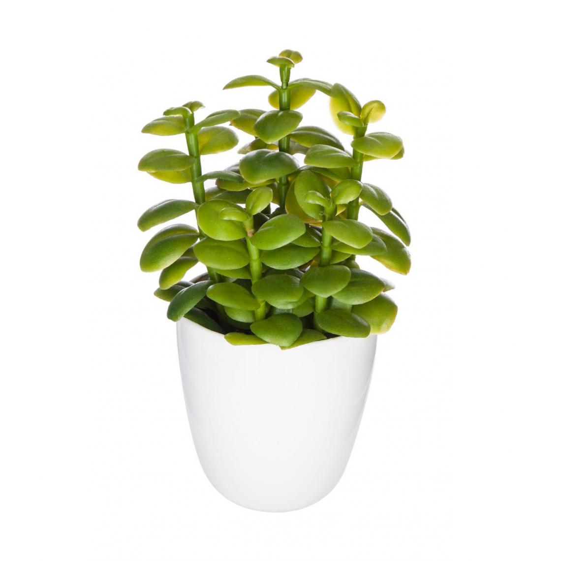 Atmosphera, Createur D'Interieur - Atmosphera - Plante artificielle Cactus en pot H 18 cm - Plantes et fleurs artificielles