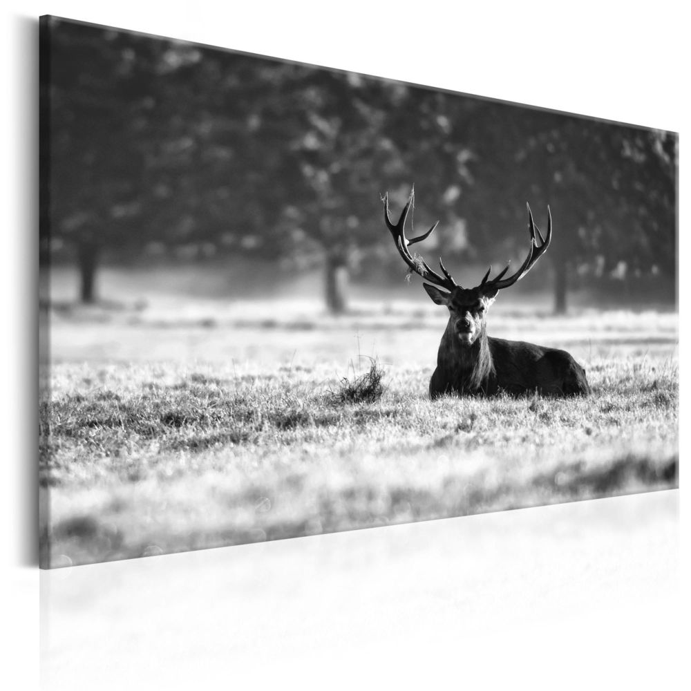 Artgeist - Tableau - Lying Deer 90x60 - Tableaux, peintures