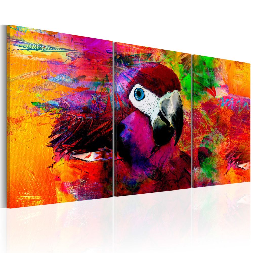 Artgeist - Tableau - Jungle of Colours 60x30 - Tableaux, peintures