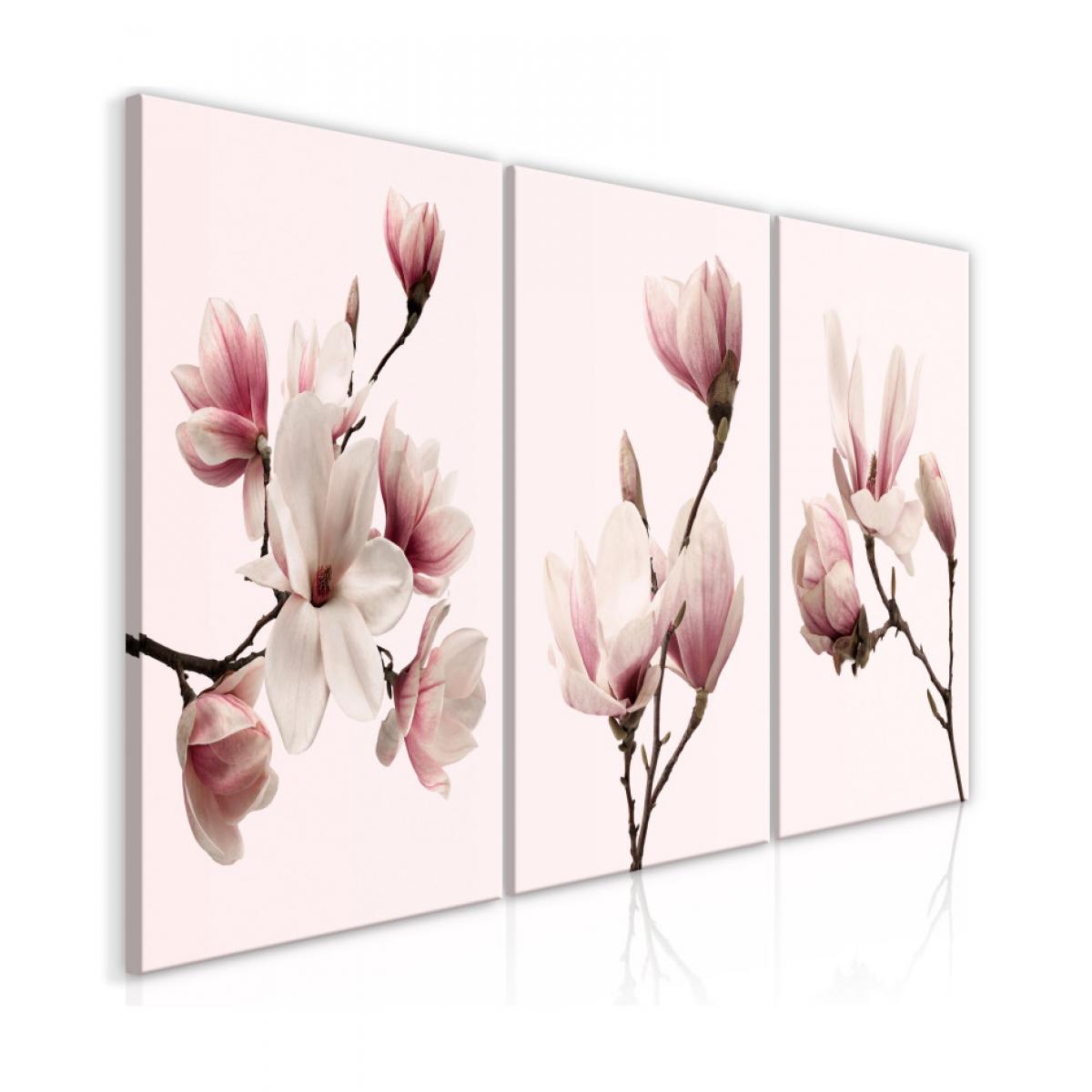 Artgeist - Tableau - Spring Magnolias (3 Parts) 120x60 - Tableaux, peintures