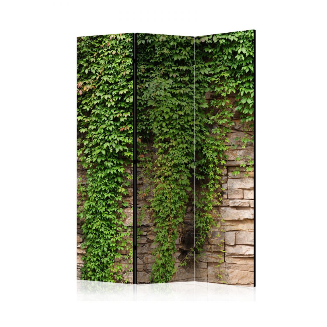 Artgeist - Paravent 3 volets - Ivy wall [Room Dividers] 135x172 - Paravents