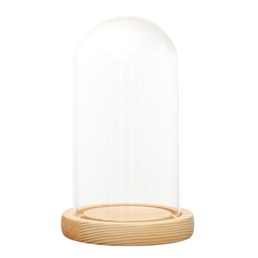 marque generique - Dôme en verre transparent avec support en bois à LED Microlandscape C 10x15cm - Vases