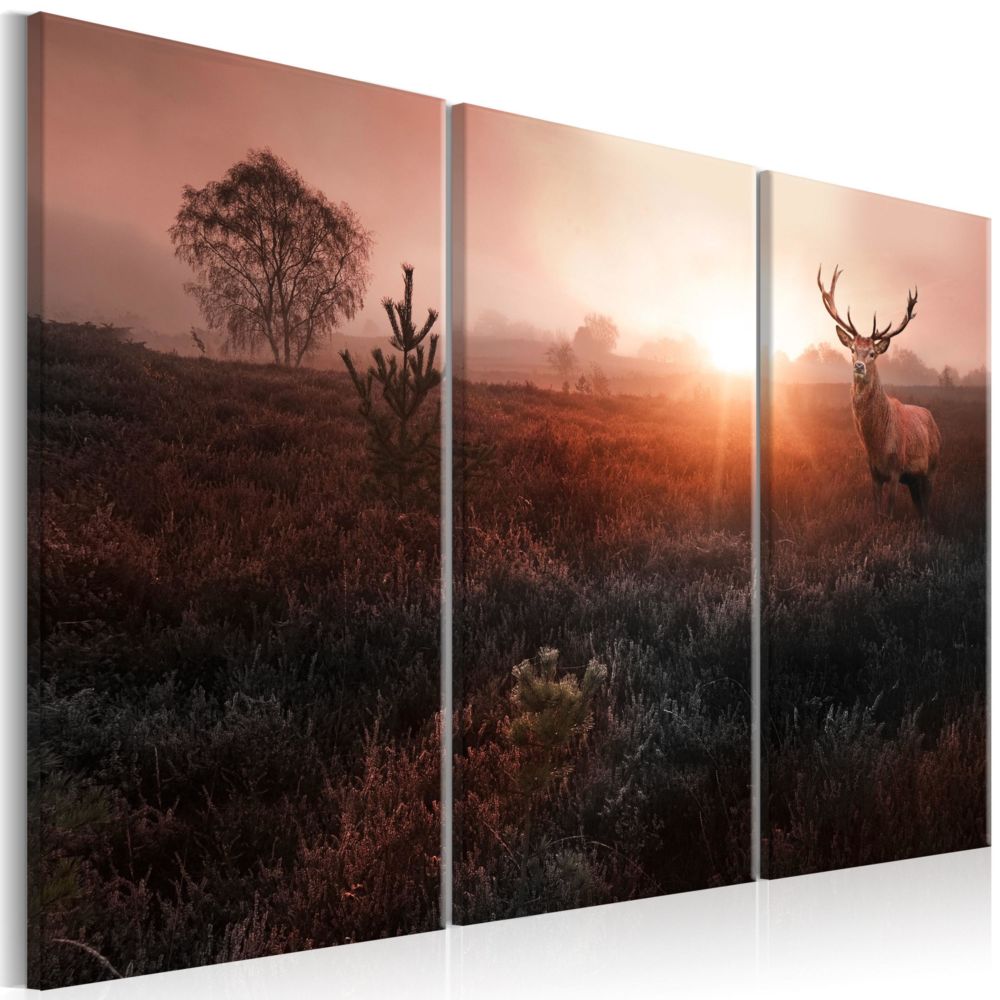 Artgeist - Tableau - Deer in the Sunshine I 90x60 - Tableaux, peintures