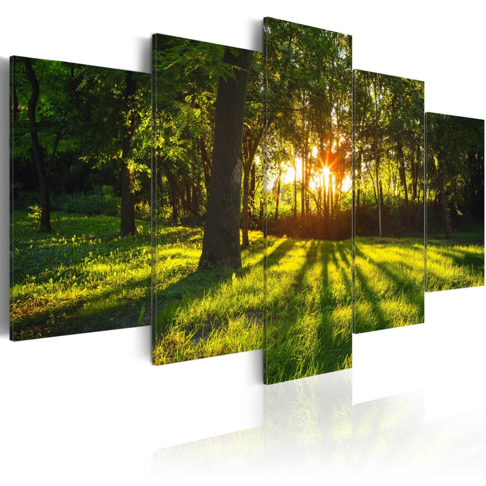 Bimago - Tableau - The forest reflection - Décoration, image, art | Abstraction | - Tableaux, peintures