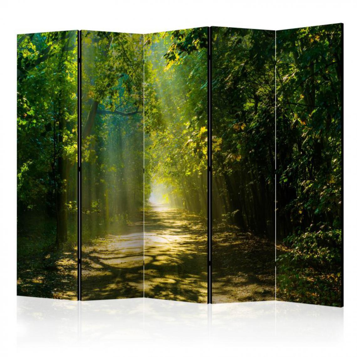 Artgeist - Paravent 5 volets - Road in Sunlight II [Room Dividers] .Taille : 225x172 - Paravents