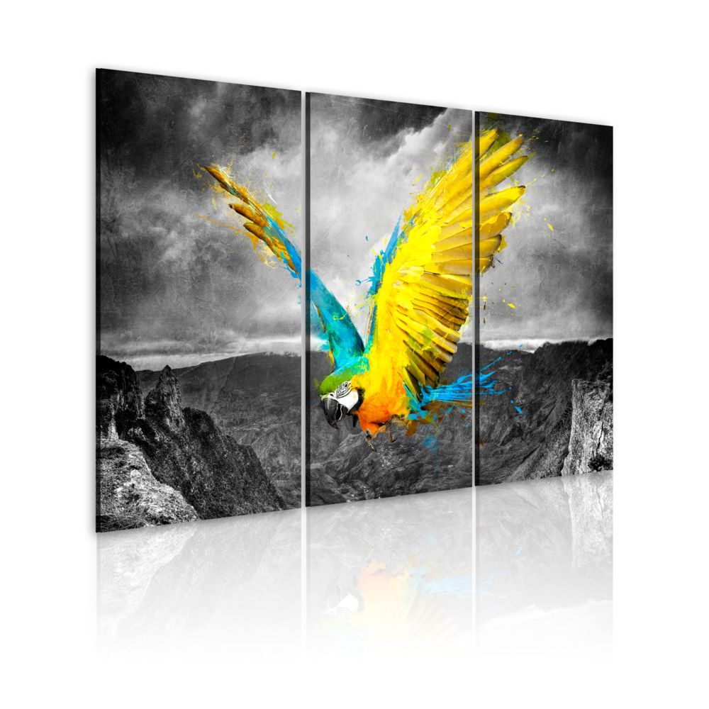 Bimago - Tableau - Oiseau de paradis - Décoration, image, art | Animaux | Oiseaux | - Tableaux, peintures
