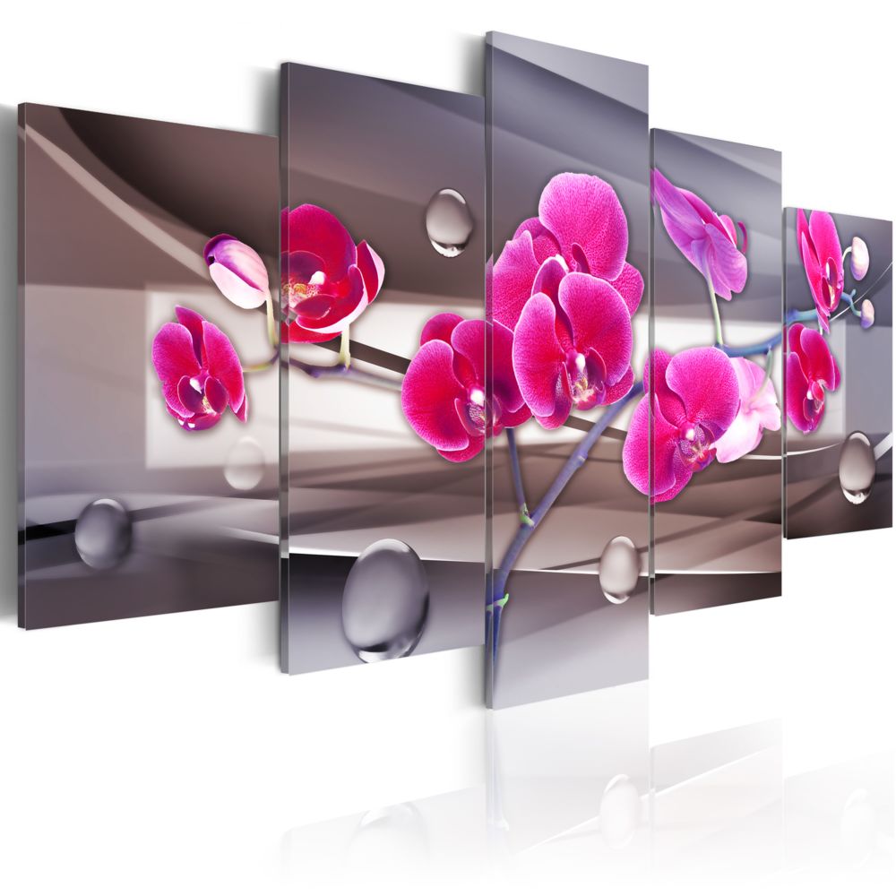 Bimago - Tableau - Orchidée sur un fond sobre - Décoration, image, art | Fleurs | Orchidées | 200x100 cm | XL - Grand Format | - Tableaux, peintures