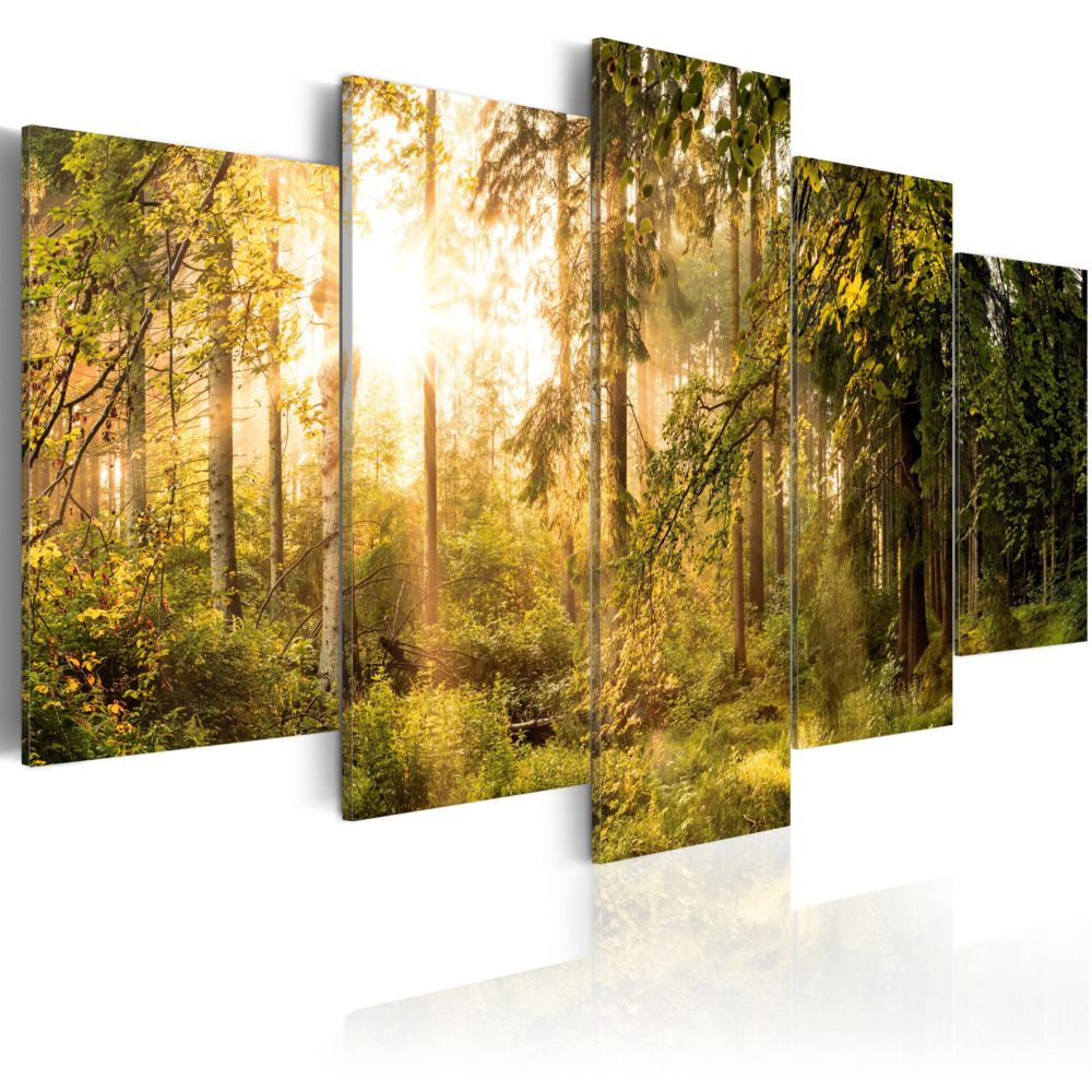 Bimago - Tableau - Magic of Forest - Décoration, image, art | Paysages | Forêt | - Tableaux, peintures