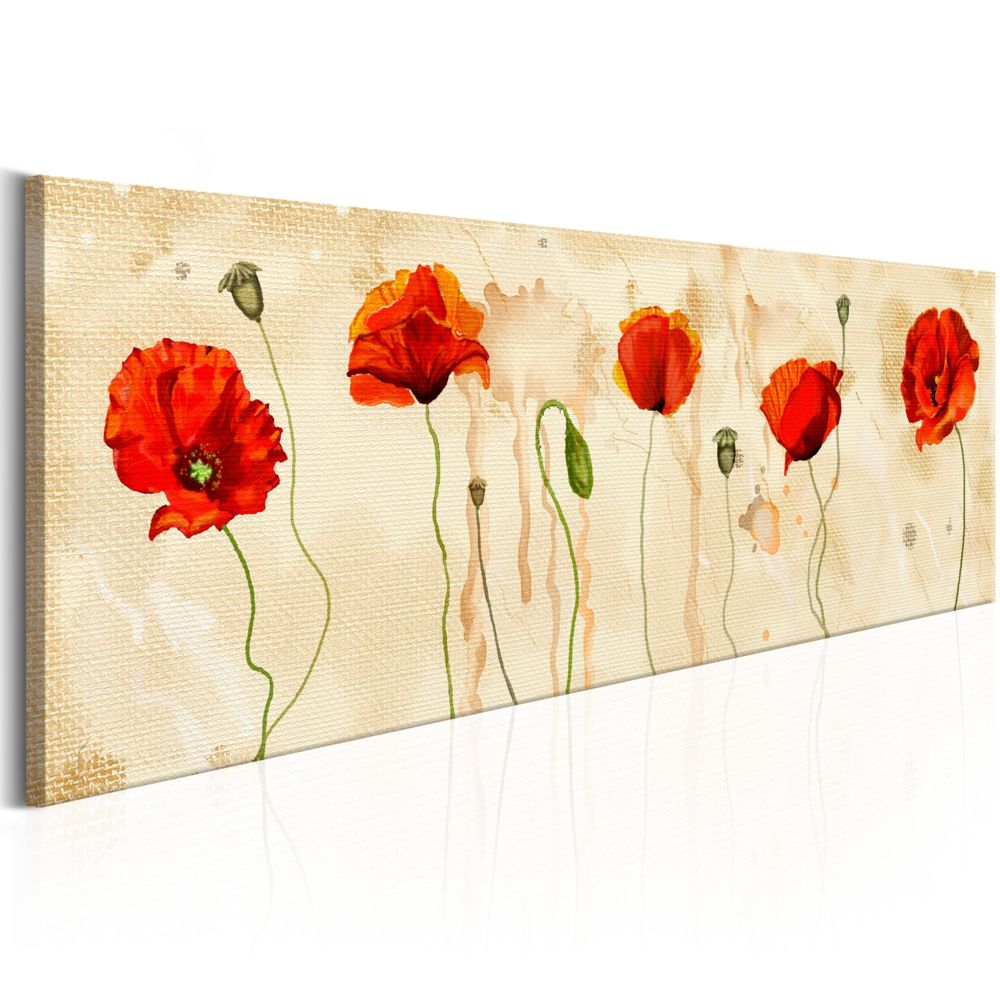 Bimago - Tableau - Tears of Poppies - Décoration, image, art | Fleurs | Coquelicots | - Tableaux, peintures