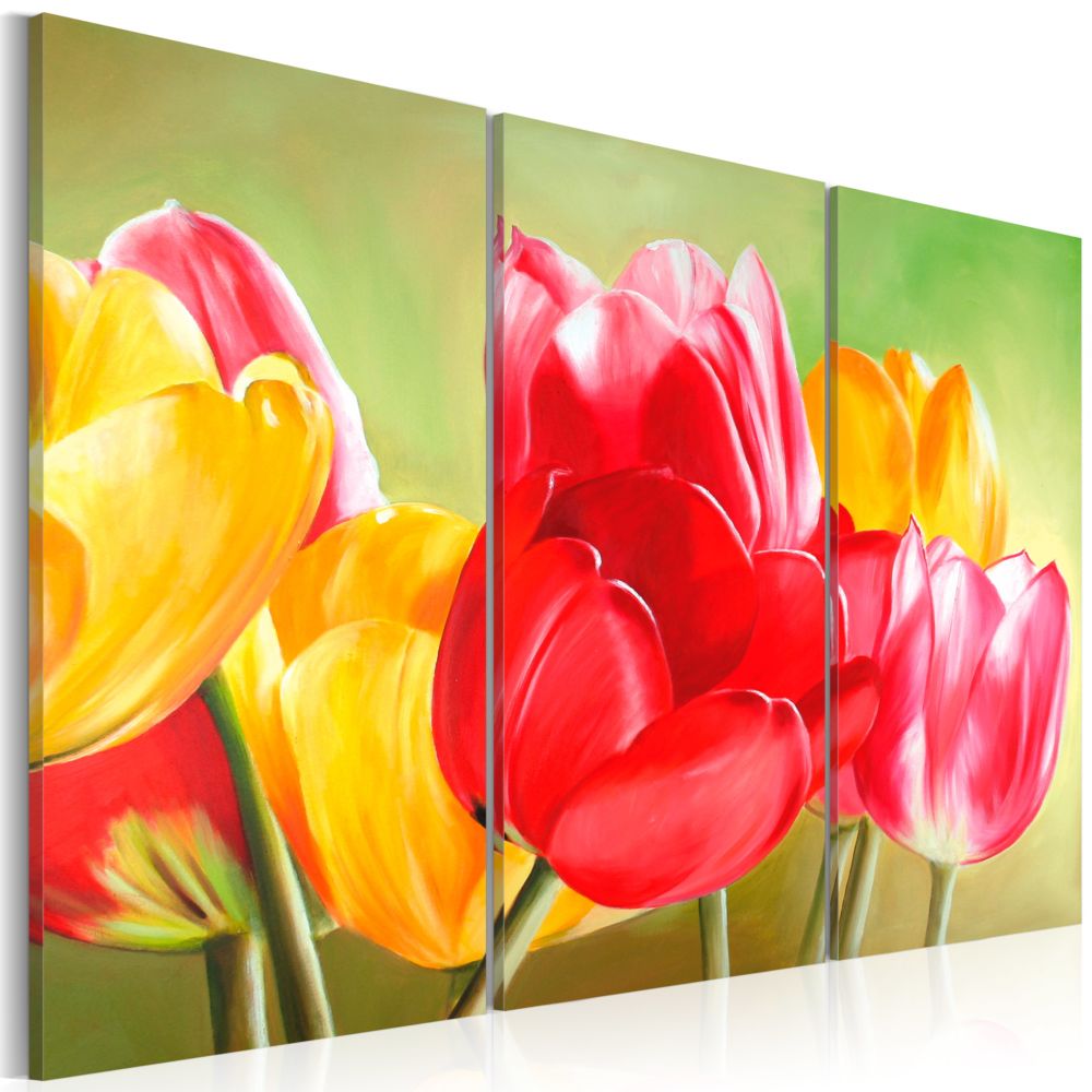 Bimago - Tableau | Tulipes fleurissent à nouveau ... | 60x40 | Fleurs | Tulipes | - Tableaux, peintures