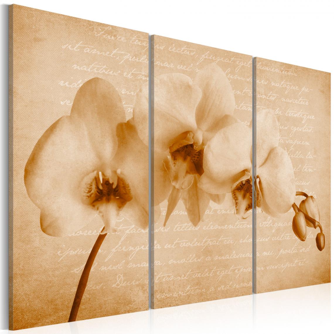 Decoshop26 - Tableau toile de décoration motif orchidée vintage 60x40cm DEC110427/2 - Tableaux, peintures
