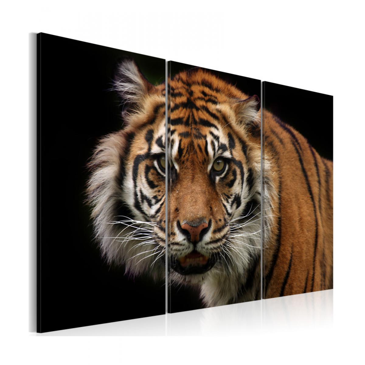 Artgeist - Tableau - Tigre prédateur 120x80 - Tableaux, peintures