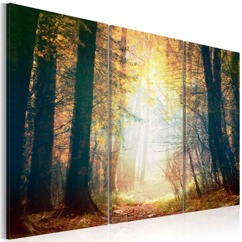 Artgeist - Tableau - Beauté de l'automne - triptyque 120x80 - Tableaux, peintures
