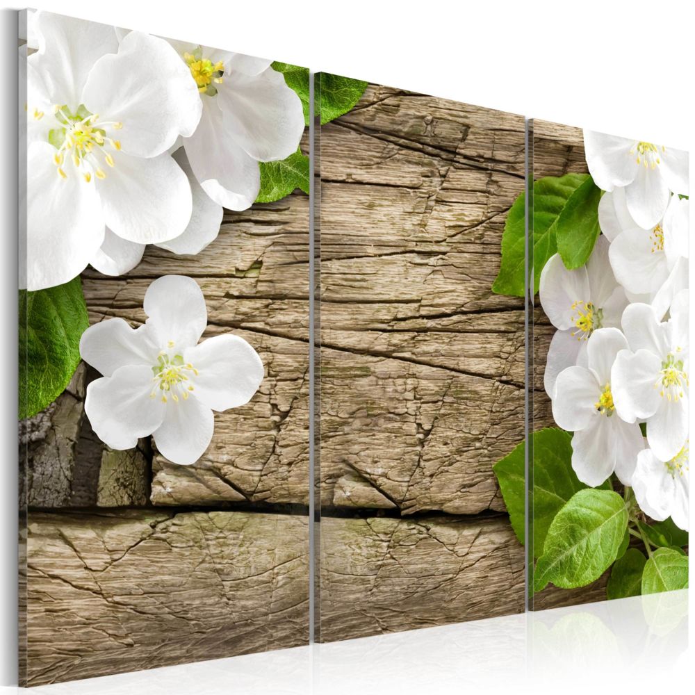 Bimago - Tableau | White coquette | 120x80 | Fleurs | Fleurs variées | - Tableaux, peintures